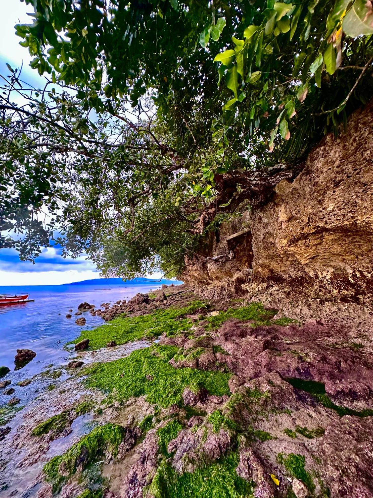 Sapphire Boutique Resort Panglao Bagian luar foto